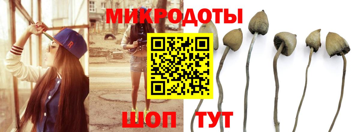 Псилоцибиновые грибы MAGIC MUSHROOMS  Вход с VPN  Выборг 